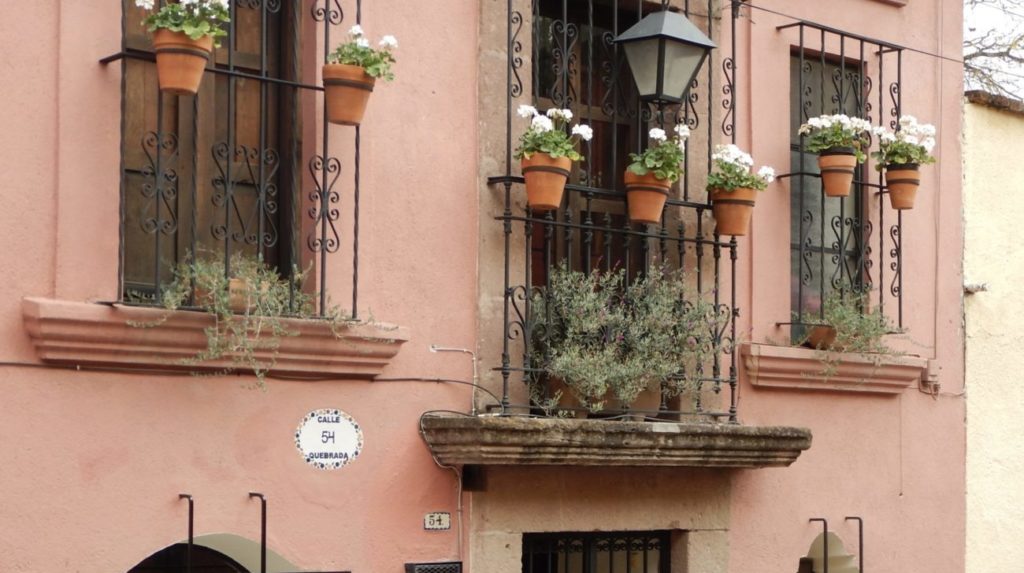 Wall of plants in Italian city. Starting over after 50? Let your imagination run free.
